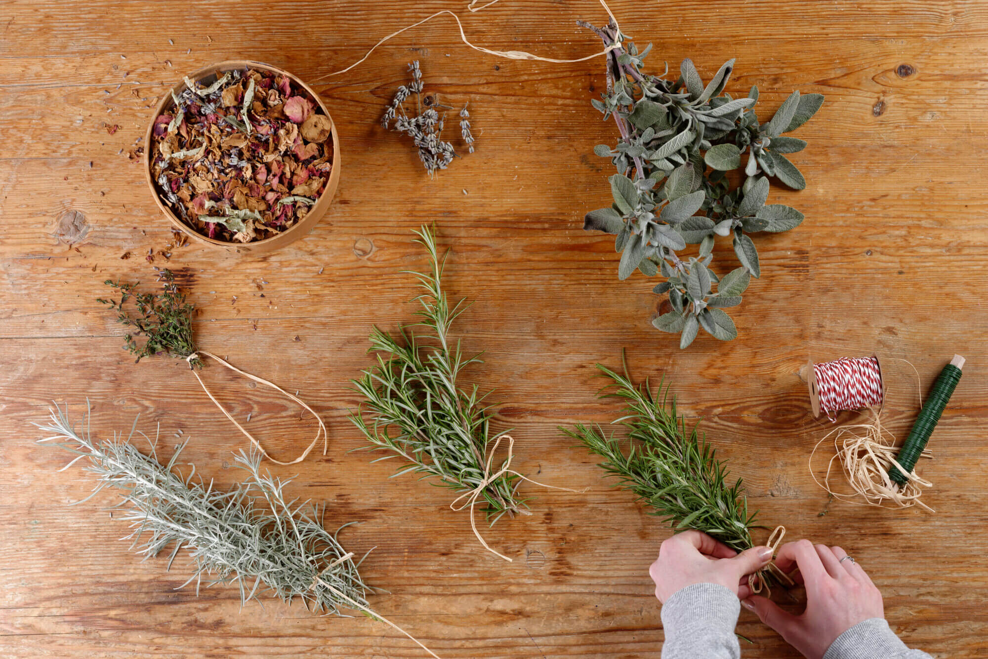 Herbs are being bundled to dry